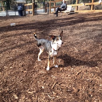 Kinnear Park Off-Leash Area photo 2